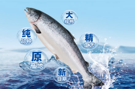三文鱼