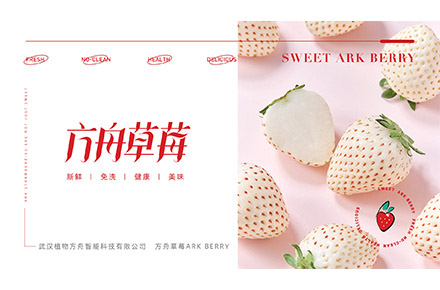 草莓品牌VI全案设计