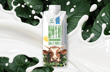 沃尔玛牛奶产品设计
