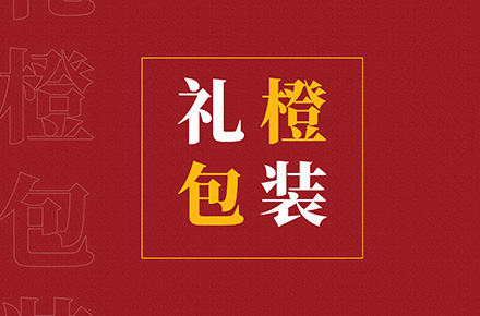 画册