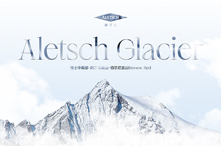 Aletsch 阿莱奇厨具品牌官网｜Hu