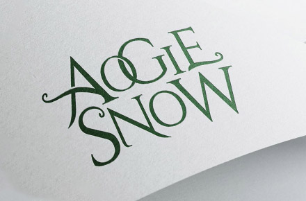 Aogiesnow 丨化妝品品牌VI及包裝