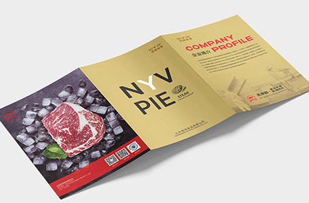 纽派悦享三折页