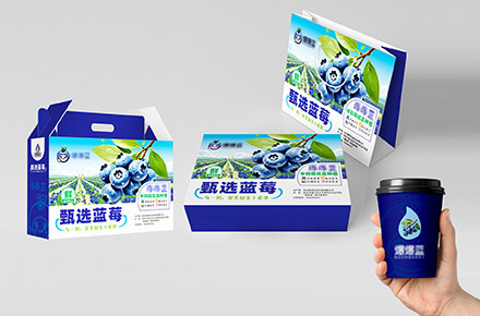 蓝莓包装盒