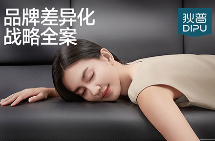 像素✖狄普 品牌战略新视觉全案 品牌咨询 电商体系化