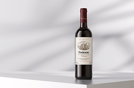 VINO TINTO|红酒包装设计