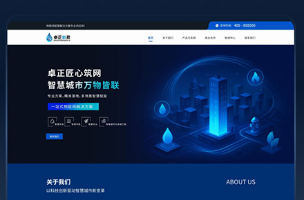 卓正科技官网 / 营销网站设计