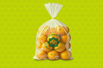 福建金果王（水果）品牌形象设计