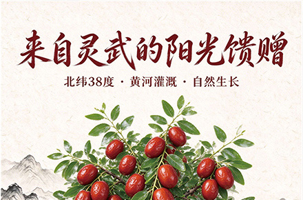 灵武长枣概念设计